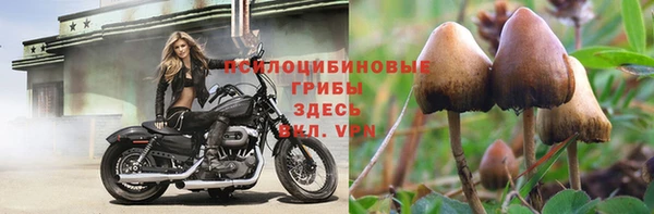 герыч Верхний Тагил