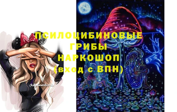 герыч Верхний Тагил