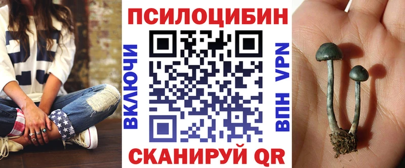 купить наркоту  Хилок  Псилоцибиновые грибы ЛСД 